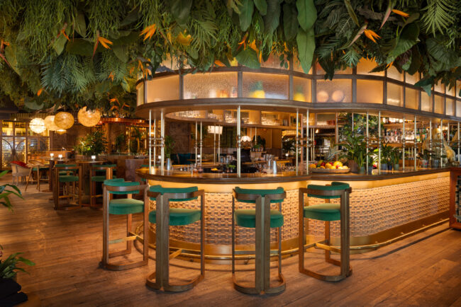 This was a shoot for @ of Amazónico their recent project in Berkley Square